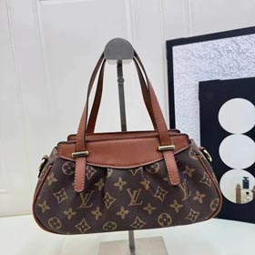 Collezione Borse Louis Vuitton (30 CP)  